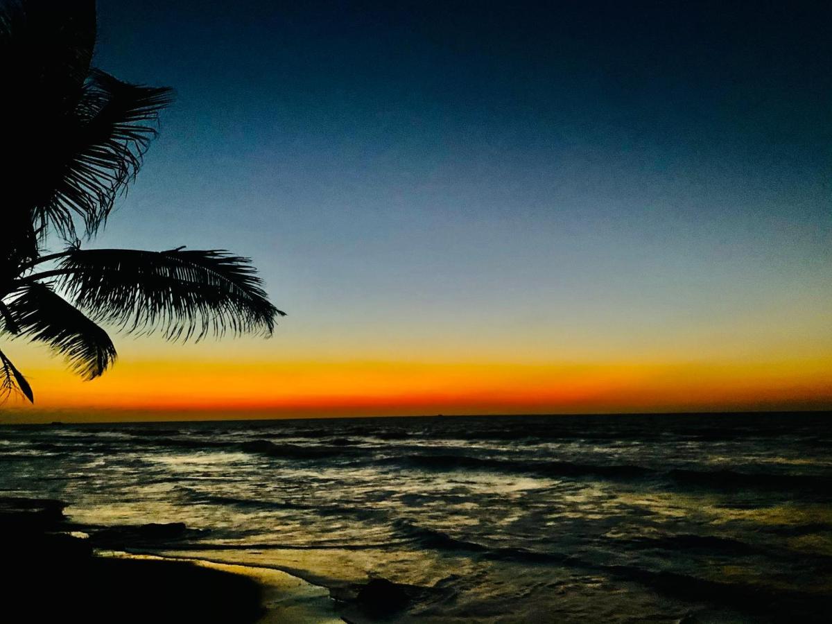 Playa Jaguar - Beach Club Monitos Dış mekan fotoğraf